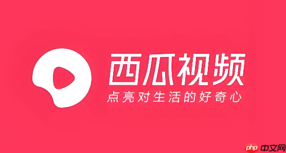 西瓜视频搬运视频有什么后果_西瓜视频搬运视频风险及后果说明-第1张图片-佛山资讯网 西瓜视频搬运视频有什么后果_西瓜视频搬运视频风险及后果说明-第1张图片-佛山资讯网