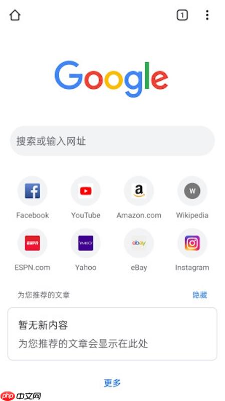 谷歌浏览器网页版最新官网_谷歌浏览器官方下载主页访问链接-第1张图片-佛山资讯网
