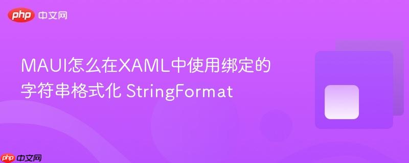 MAUI怎么在XAML中使用绑定的字符串格式化 StringFormat-第1张图片-佛山资讯网