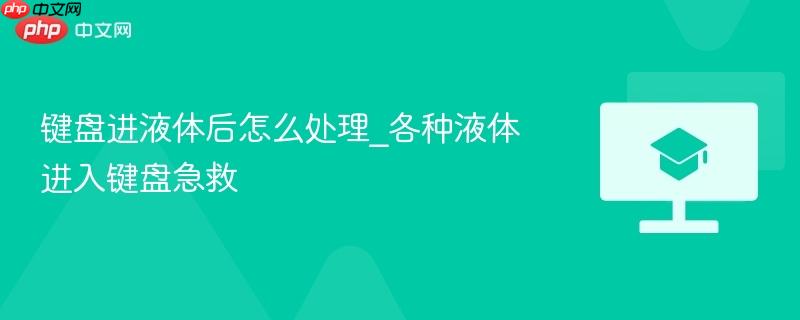 键盘进液体后怎么处理_各种液体进入键盘急救-第1张图片-佛山资讯网 键盘进液体后怎么处理_各种液体进入键盘急救-第1张图片-佛山资讯网