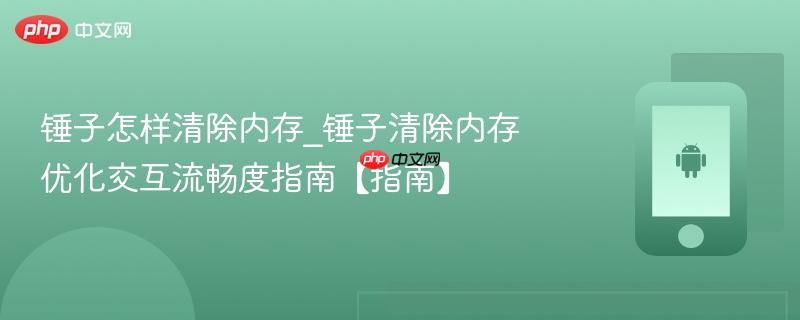 锤子怎样清除内存_锤子清除内存优化交互流畅度指南【指南】-第1张图片-佛山资讯网