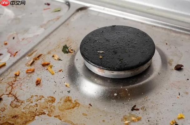 厨房垃圾处理器有油污异味怎么办？ 清洁和保养垃圾处理器的方法-第1张图片-佛山资讯网