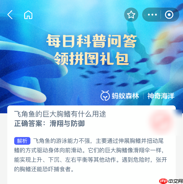 飞角鱼的巨大胸鳍有什么用途-第1张图片-佛山资讯网 飞角鱼的巨大胸鳍有什么用途-第1张图片-佛山资讯网