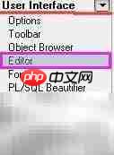 PL/SQL快捷键与SQL导出-第4张图片-佛山资讯网