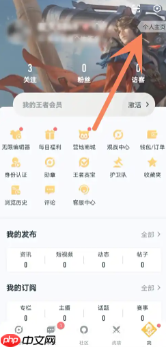王者营地ID怎么看 王者营地ID查询方式-第5张图片-佛山资讯网