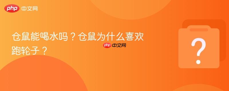 仓鼠能喝水吗？仓鼠为什么喜欢跑轮子？-第1张图片-佛山资讯网