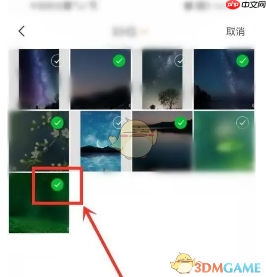 《topwidgets》设置照片方法-第3张图片-佛山资讯网