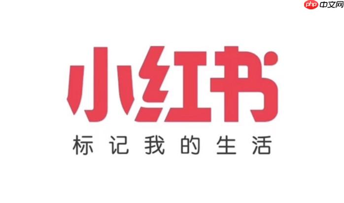 小红书电脑版入口地址 小红书官网PC版链接-第1张图片-佛山资讯网 小红书电脑版入口地址 小红书官网PC版链接-第1张图片-佛山资讯网