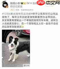 12306能否托运宠物-第2张图片-佛山资讯网