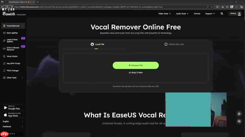 EaseUS Vocal Remover:免费在线提取人声和伴奏-第3张图片-佛山资讯网 EaseUS Vocal Remover:免费在线提取人声和伴奏-第3张图片-佛山资讯网