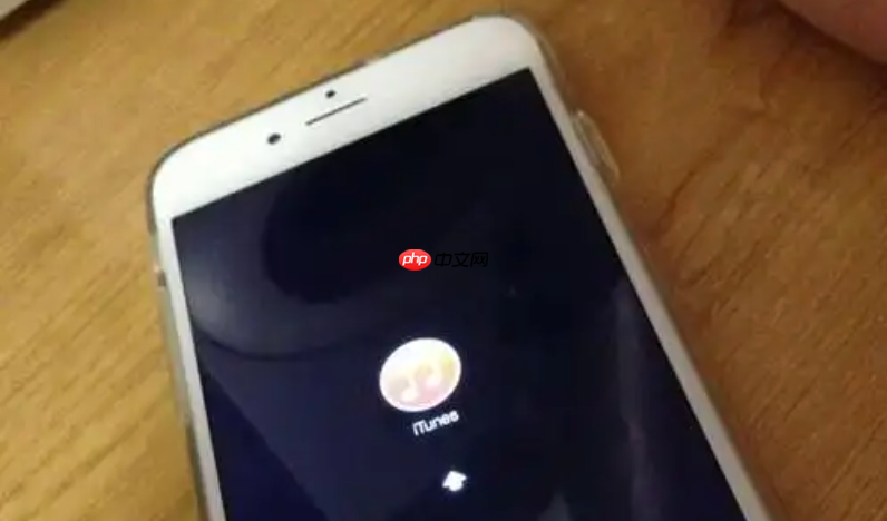手机充电接口类型（Type-C/Lightning）会影响充电吗？ 接口知识科普-第1张图片-佛山资讯网