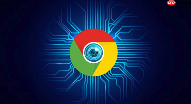 Google浏览器网页入口 Google浏览器官方网页网址-第1张图片-佛山资讯网