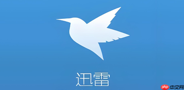 迅雷网盘会员中心入口_迅雷网盘会员权益官方管理页面-第1张图片-佛山资讯网 迅雷网盘会员中心入口_迅雷网盘会员权益官方管理页面-第1张图片-佛山资讯网