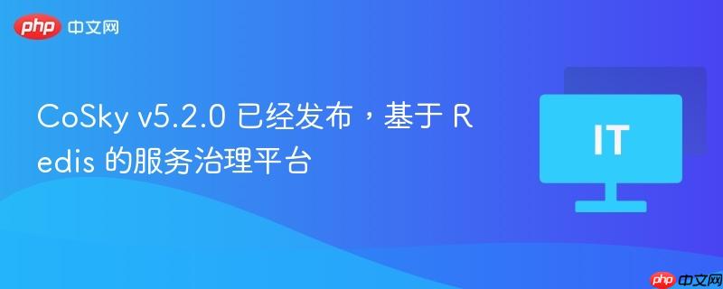 CoSky v5.2.0 已经发布，基于 Redis 的服务治理平台-第1张图片-佛山资讯网