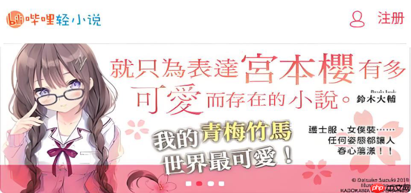 哔哩轻小说官方入口 热门异世界小说免费看-第1张图片-佛山资讯网