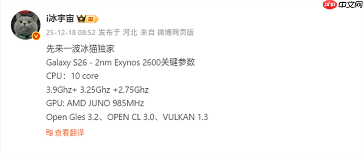 首款2nm手机芯片!三星Exynos 2600确认10核心,明年1月首发-第1张图片-佛山资讯网 首款2nm手机芯片!三星Exynos 2600确认10核心,明年1月首发-第1张图片-佛山资讯网