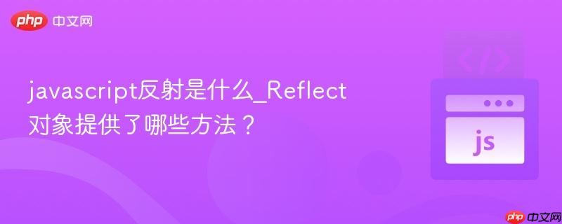 javascript反射是什么_Reflect对象提供了哪些方法？-第1张图片-佛山资讯网