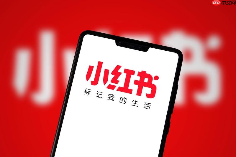 小红书怎么分析笔记数据_小红书后台数据解读与优化建议【实操】-第1张图片-佛山资讯网