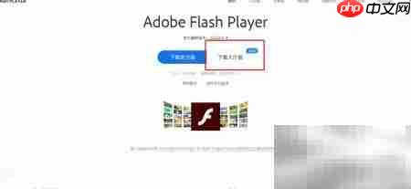 Flash修复安装一键搞定-第1张图片-佛山资讯网 Flash修复安装一键搞定-第1张图片-佛山资讯网