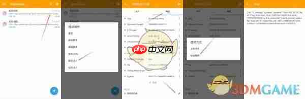 《黄鸟抓包》修改轻颜相机教程-第3张图片-佛山资讯网