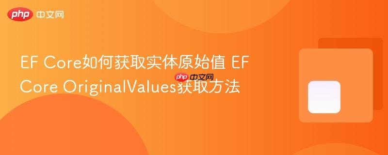 EF Core如何获取实体原始值 EF Core OriginalValues获取方法-第1张图片-佛山资讯网 EF Core如何获取实体原始值 EF Core OriginalValues获取方法-第1张图片-佛山资讯网