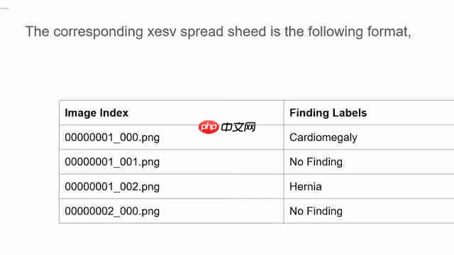 AI在X光图像处理中的应用：医学影像新纪元-第2张图片-佛山资讯网