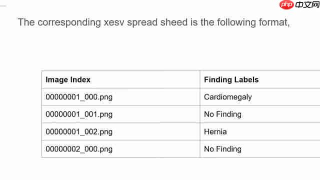 AI在X光图像处理中的应用：医学影像新纪元-第3张图片-佛山资讯网