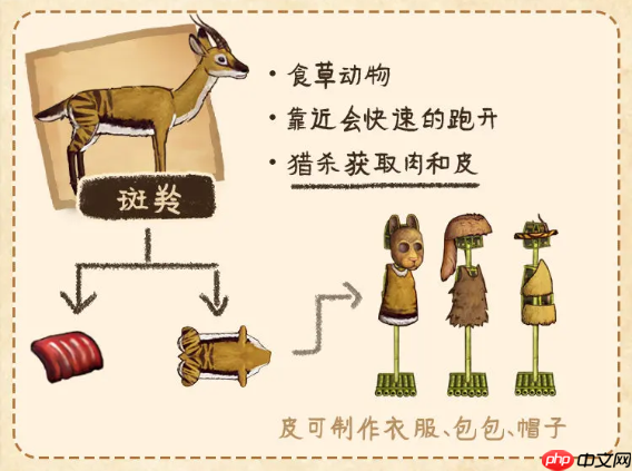 村落人生生存指南动物篇-第4张图片-佛山资讯网