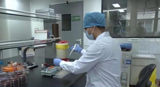 男子养五步蛇当宠物 手动喂食被咬致截肢-第1张图片-佛山资讯网