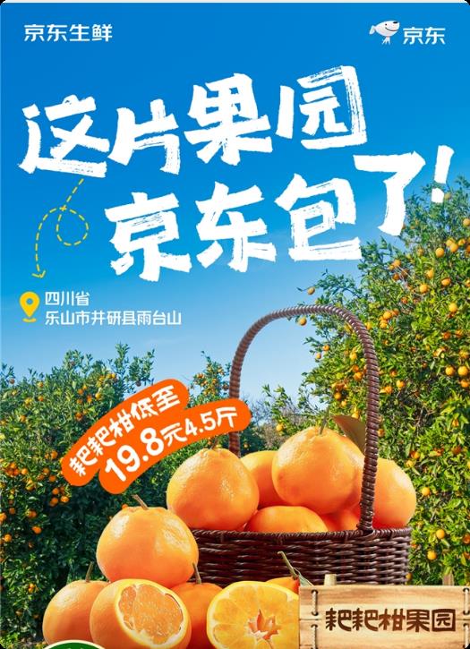 京东包园了！“柑橘顶流”耙耙柑12月20日果园直发  4.5斤只需19.8元-第1张图片-佛山资讯网