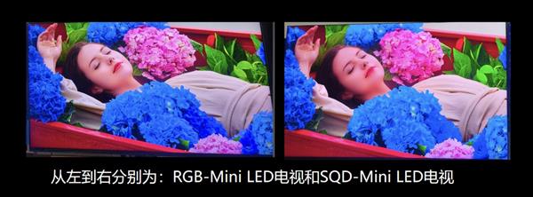 RGB-Mini LED为什么比SQD-Mini LED好 一文彻底讲透 买高端电视别再踩坑!-第3张图片-佛山资讯网 RGB-Mini LED为什么比SQD-Mini LED好 一文彻底讲透 买高端电视别再踩坑!-第3张图片-佛山资讯网