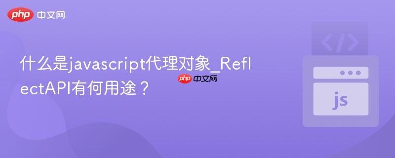 什么是javascript代理对象_ReflectAPI有何用途?-第1张图片-佛山资讯网 什么是javascript代理对象_ReflectAPI有何用途?-第1张图片-佛山资讯网