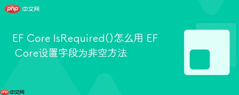 EF Core IsRequired()怎么用 EF Core设置字段为非空方法-第1张图片-佛山资讯网 EF Core IsRequired()怎么用 EF Core设置字段为非空方法-第1张图片-佛山资讯网
