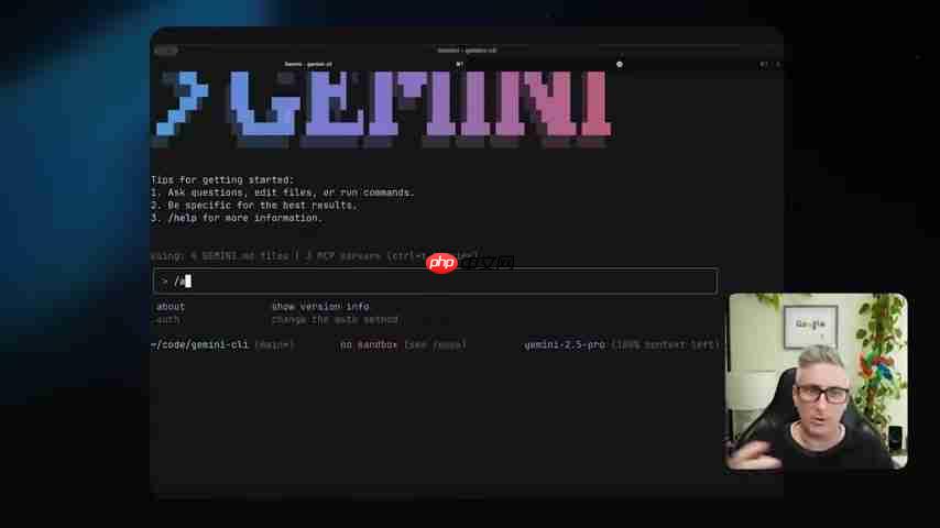 Gemini CLI完全指南：开发者高效利器-第3张图片-佛山资讯网