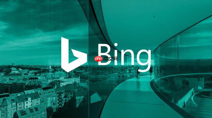 BING搜索引擎怎样用天气搜索_BING天气查询与预警订阅【教程】-第1张图片-佛山资讯网