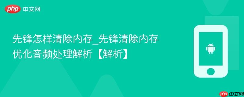 先锋怎样清除内存_先锋清除内存优化音频处理解析【解析】-第1张图片-佛山资讯网