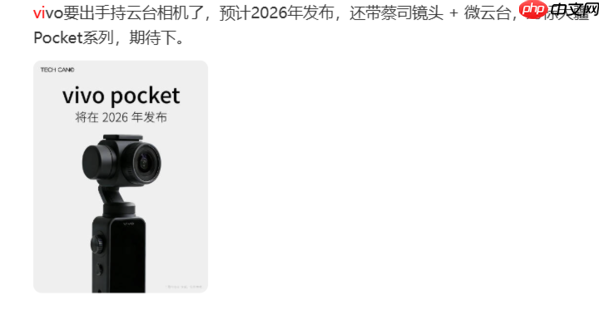OPPO、vivo们排队进入Pocket赛道 手机不香了？-第5张图片-佛山资讯网