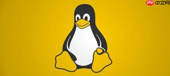 LinuxSSH安全怎么提升_高频场景实战指导更易上手【教学】-第1张图片-佛山资讯网 LinuxSSH安全怎么提升_高频场景实战指导更易上手【教学】-第1张图片-佛山资讯网
