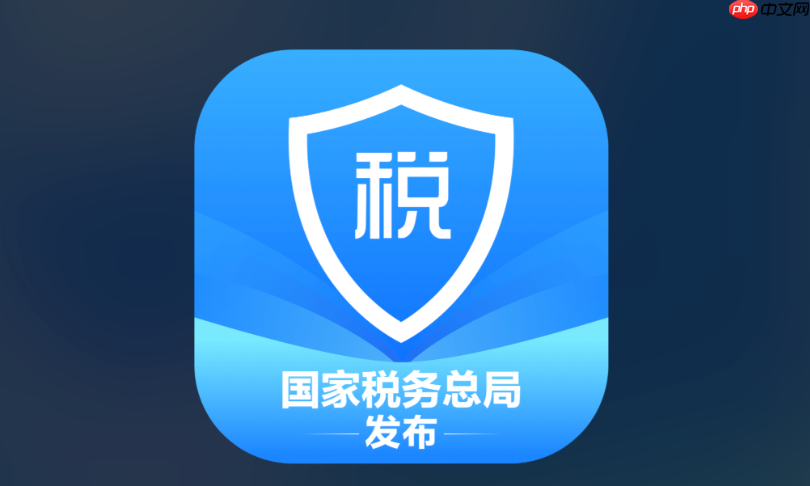 怎么查询个人所得税纳税记录 个人所得税APP查询方法-第1张图片-佛山资讯网