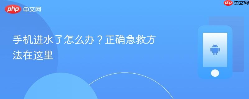 手机进水了怎么办?正确急救方法在这里-第1张图片-佛山资讯网 手机进水了怎么办?正确急救方法在这里-第1张图片-佛山资讯网