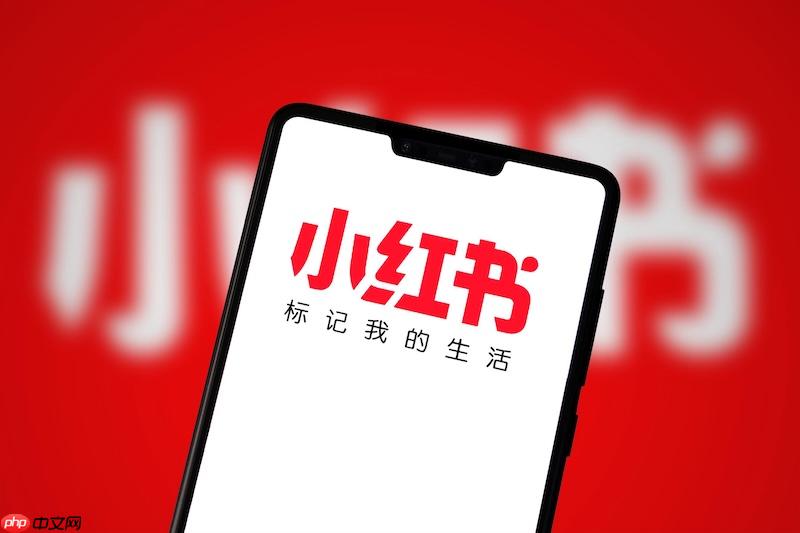 小红书怎么跨平台联动_小红书引流至其他平台操作方法【实操】-第1张图片-佛山资讯网 小红书怎么跨平台联动_小红书引流至其他平台操作方法【实操】-第1张图片-佛山资讯网