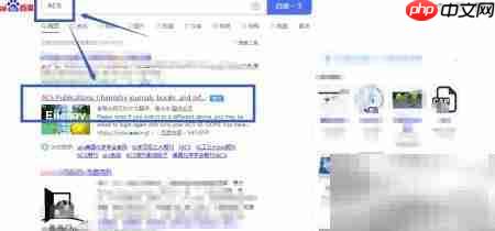 下载英文文献支持信息指南-第2张图片-佛山资讯网