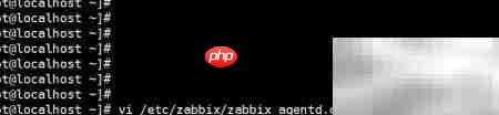 CentOS 7安装Zabbix Agent指南-第4张图片-佛山资讯网