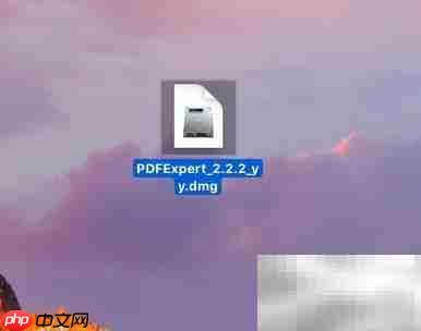 PDF Expert for Mac安装指南-第2张图片-佛山资讯网