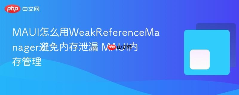 MAUI怎么用WeakReferenceManager避免内存泄漏 MAUI内存管理-第1张图片-佛山资讯网 MAUI怎么用WeakReferenceManager避免内存泄漏 MAUI内存管理-第1张图片-佛山资讯网