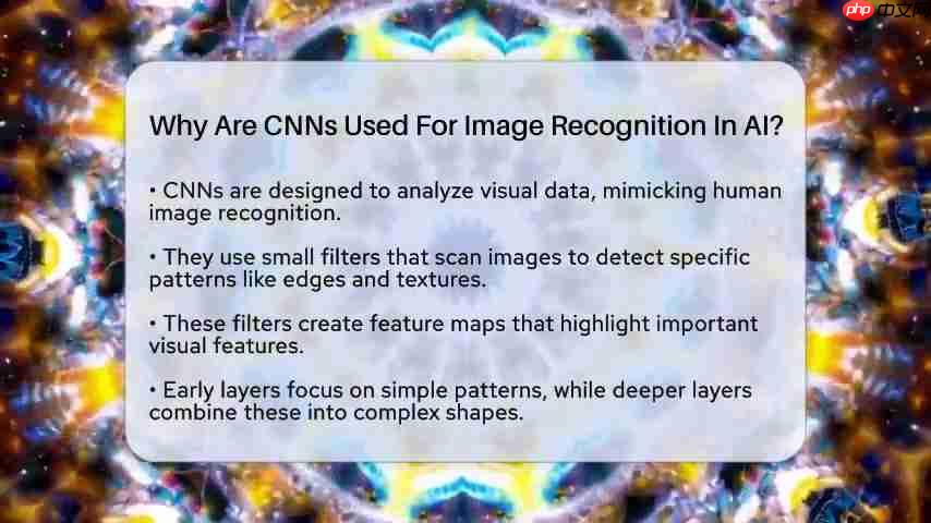 卷积神经网络 (CNN) 在 AI 图像识别中的应用详解-第2张图片-佛山资讯网