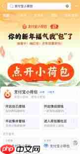 支付宝小荷包情侣自动攒是双方都自动扣钱吗-第2张图片-佛山资讯网 支付宝小荷包情侣自动攒是双方都自动扣钱吗-第2张图片-佛山资讯网