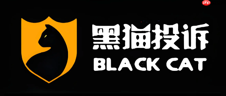 黑猫投诉平台官方通道 消费者线上投诉服务入口-第1张图片-佛山资讯网