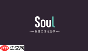 老公玩soul算出轨行为吗-第2张图片-佛山资讯网