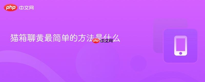 猫箱聊黄最简单的方法是什么-第1张图片-佛山资讯网 猫箱聊黄最简单的方法是什么-第1张图片-佛山资讯网